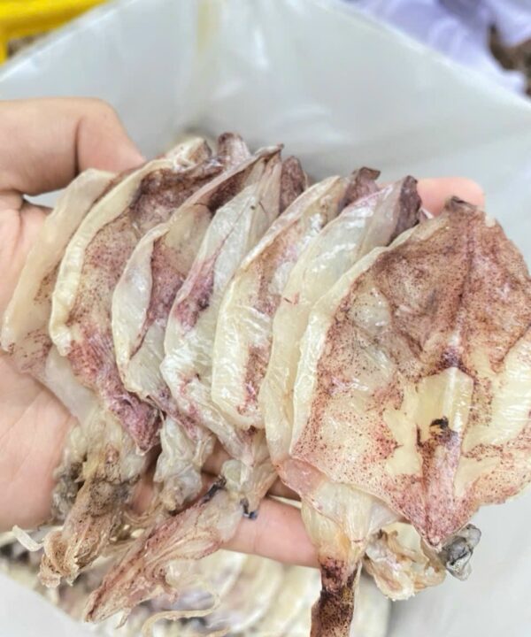 Khô Mực Đồng Tiền Cần Thơ