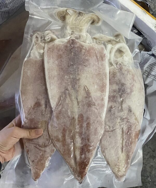 Mực Ống Xẻ Lớn Cần Thơ